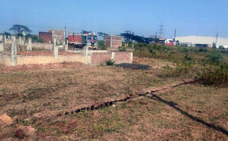 कब्जे दिलाए, रोड डलवाई फिर भी शुरू नहीं हो सका ट्रांसपोर्ट नगर, 40 साल से वीरान पड़ा ट्रांसपोर्ट नगर