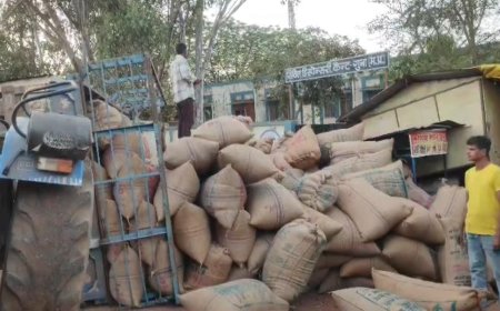 कैंट थाने के पास अनाज से भरी ट्रॉली पलटी