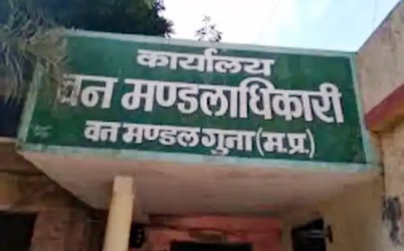 बमोरी के जंगलों में लापरवाही का 'शिकार'