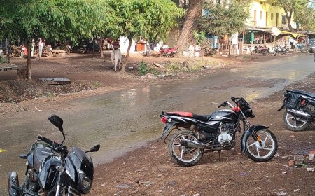 सूरज की तपिश से थर्राया गुना, पारा 44 पार - शाम की बूंदाबांदी ने राहत के बजाय बढ़ाई उमस