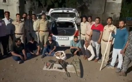 चौपना जंगल में आधी रात को 'सर्जिकल स्ट्राइक'