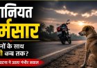 इंसानियत शर्मसार, फीमेल डॉग को बेरहमी से पीट-पीटकर मार डाला