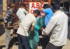 अब नहीं रहेगा खूंखार आवारा डॉग्स का डर
