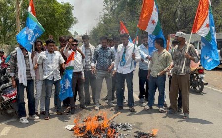 पुलिस अंदर चली गई, बाहर दौड़कर छात्रों ने फूंक दिया पुतला