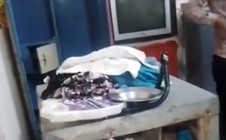 आतंक का दूसरा नाम जगनपुर क्षेत्र