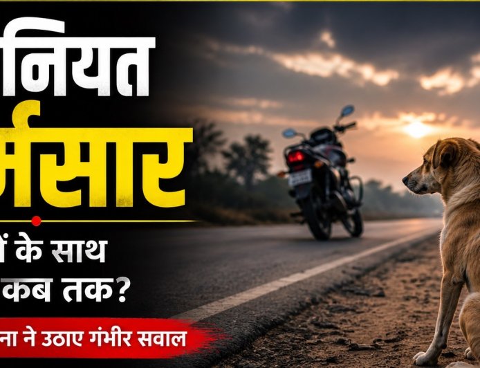 इंसानियत शर्मसार, फीमेल डॉग को बेरहमी से पीट-पीटकर मार डाला