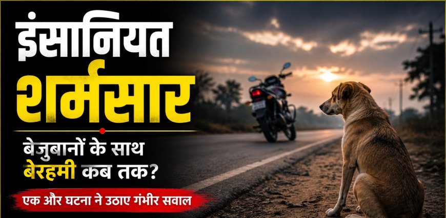 इंसानियत शर्मसार, फीमेल डॉग को बेरहमी से पीट-पीटकर मार डाला