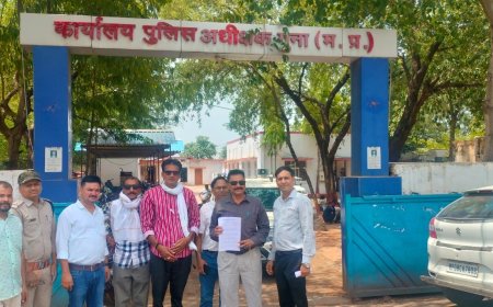 एम-3 टाउन में पारदी गैंग का आतंक, रातभर पहरा दे रहे लोग
