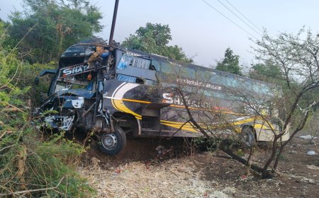 हाइवे से नीचे खाई में उतरी तेज रफ्तार बस, पेड़ से टकराकर पलटने से बची