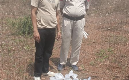 गुना में आबकारी विभाग का शिकंजा, 60 लीटर अवैध हाथभट्टी शराब जब्त, आरोपी फरार