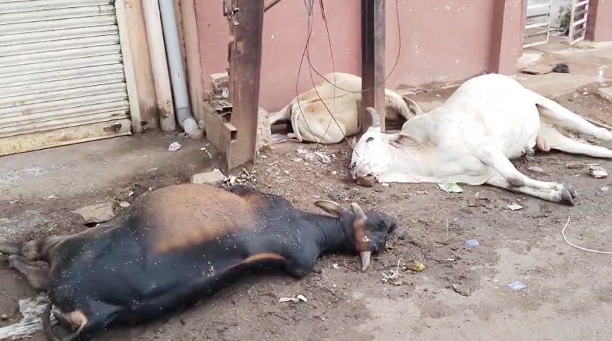 रिहाइशी क्षेत्र में लगा था मौत का खंभा!