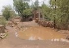 बमोरी के जैतपुरा में विकास के दावों की खुली पोल