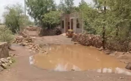बमोरी के जैतपुरा में विकास के दावों की खुली पोल