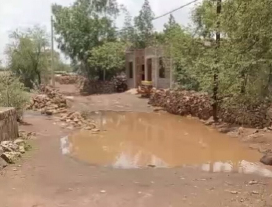 बमोरी के जैतपुरा में विकास के दावों की खुली पोल